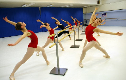 Barra de ballet móvil profesional Pina